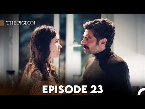 The Pigeon Episode 23 (FULL HD)