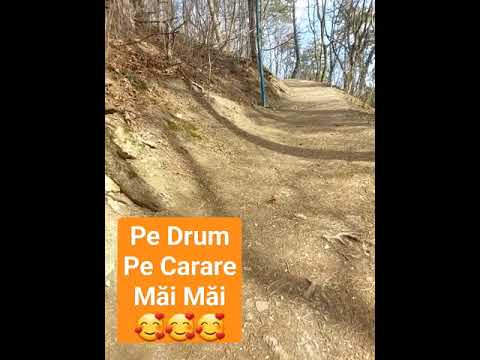 #cararecodewhatsapp #shorts #short #drums #drummer #montage  #beautiful #sole #main #brasov ♥️👑🥰♥️