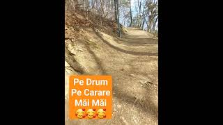 #cararecodewhatsapp #shorts #short #drums #drummer #montage  #beautiful #sole #main #brasov ♥️👑🥰♥️