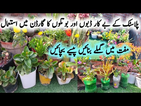 Plastic Bottle Planters/Use Of Waste Bottles In the Garden/Zero Budget Gardening