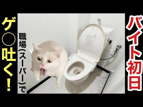 バイト初日職場でゲ○吐いた話【猫ミーム】