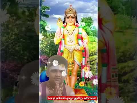 திருச்செந்தூர் முருகனுக்கு அரோகரா