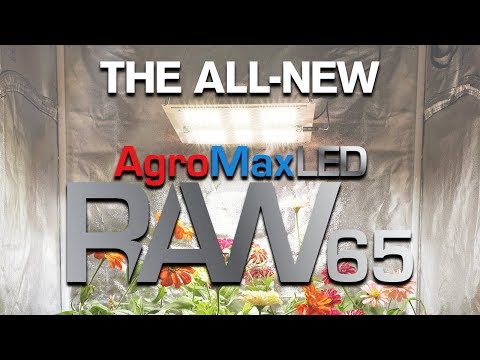 The AgroMax Raw 65 Full-Spectrum LED Grow Light