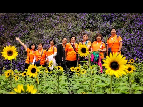 【大熊旅游】【旅程记录】岁末の小旅行❤