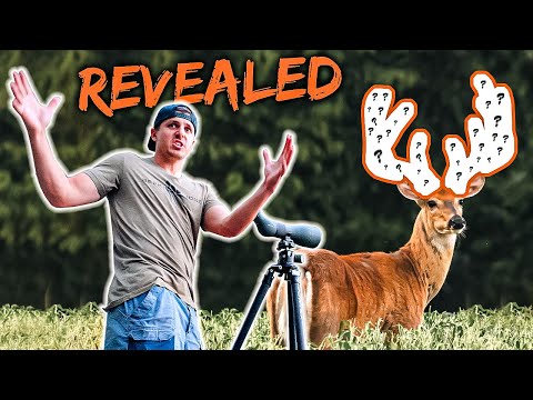 Hunting The BIGGEST BUCK OF MY LIFE!! (Summer Scouting Trip)