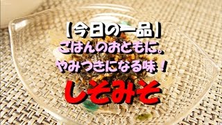 【今日の一品】　ごはんのお供に。やみつきになる味！しそみそ　※音声解説付き