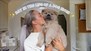 a day in my life as a dog mom