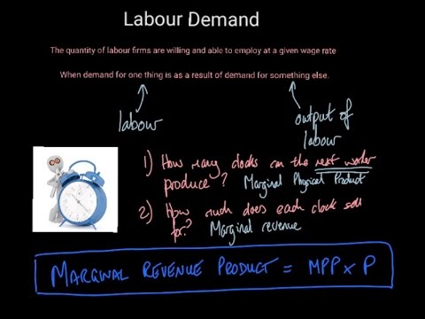 A Level Economics (micro) - Determinants of Labour Demand (Marginal Revenue Product - MRP theory)