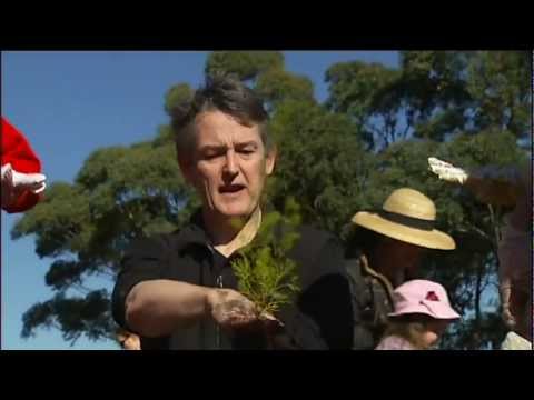 Point Preschool - Tree Planting