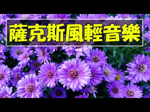 【非常好听】🎷🎷週末聽50首最好的老音樂 🌺早上最適合聽的輕音樂 🎵 每天調心洗滌心性 - 薩克斯風 - 無廣告音樂  - 轻音乐 - 探戈老歌 Old Taiwanese Music