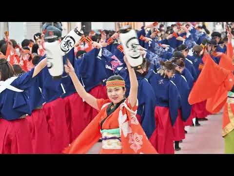 [4k] 祭屋 saiya よさこい踊り子隊　帯屋町会場　龍馬生誕祭2022　2022年11月15日(火)