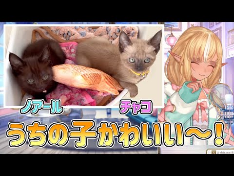 【ホロライブ切り抜き】お迎えした猫ちゃん達のことを幸せそうに語るフレアちゃん【不知火フレア】