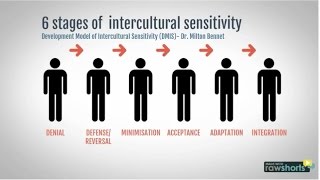 Cultural Sensitivity