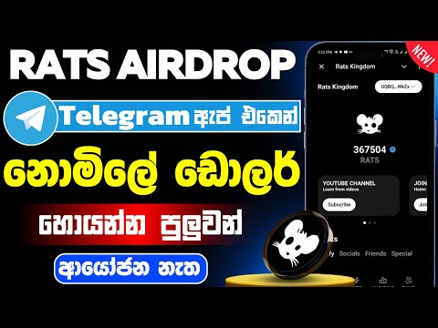 Rats kingdom telegram airdrop sinhala | rats airdrop | Rats telegram airdrop