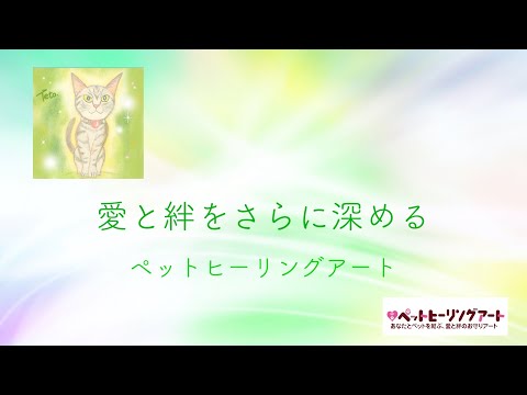 ペットヒーリングアート　よねやまゆうこさんご紹介動画