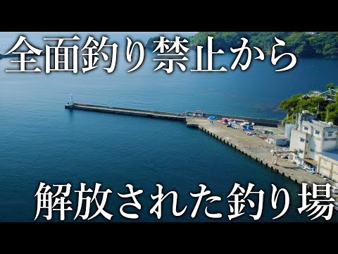 釣り禁止から解放された希少な堤防…ライセンス制の導入でファミリー釣り場に生まれ変わる