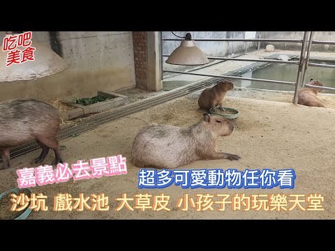 【嘉義必去景點】 CP值超高的農場 超多可愛小動物可以看 可以拍很多網美照小朋友的玩樂天堂 有沙坑 戲水池 大草地等等