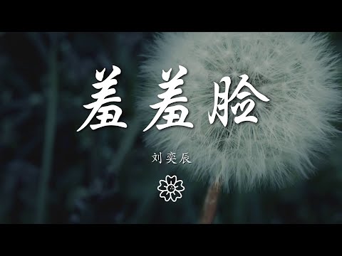 劉奕辰 - 羞羞臉『』【動態歌詞Lyrics】