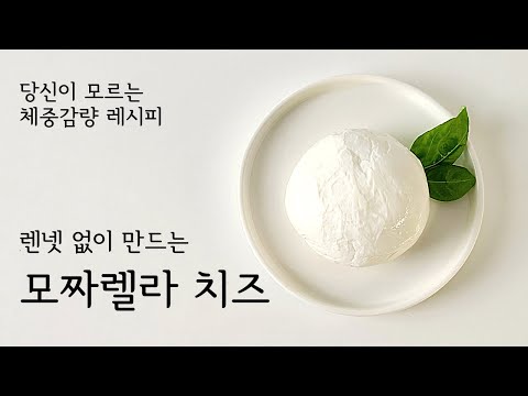 Making mozzarella cheese without rennet | Mozzarella Cheese