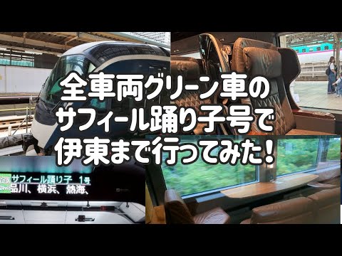 【伊東への旅】全車両グリーン車のサフィール踊り子号