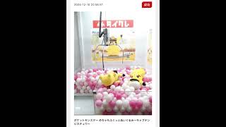 #クレーンゲーム #ufoキャッチャー #ゲームセンター #ufoキャッチャー動画 #ポケモン #pokemon#タイクレ