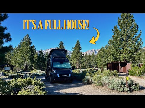 3 PEOPLE & A DOG LIVING IN A VAN | Van Life in June Lake