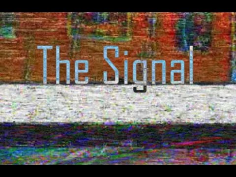 The Signal - Old Country's Back