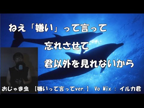 おじゃま虫　嫌いって言ってver.　歌ってみた ver.イルカ君