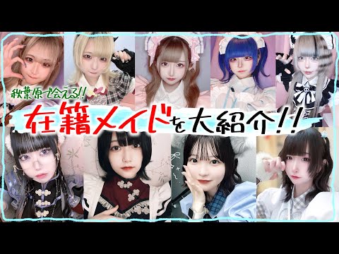 【在籍メイド紹介！】100人以上！大活躍の、可愛いコンカフェ嬢を紹介します