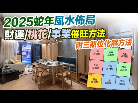 2025家居風水 (附繁簡字幕)｜蛇年家居佈局 催旺財位 桃花 健康 附化解方法 九宮飛星 室內設計 九運 家居風水 2025十二生肖 九運 蛇年預測 生肖運勢2025 犯太歲【囍趣睇相王EP112】