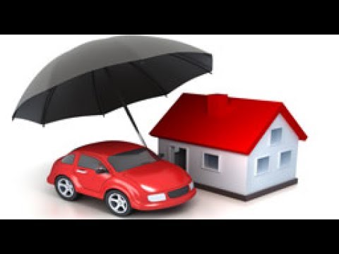 Property and Motor Vehicle Insurance