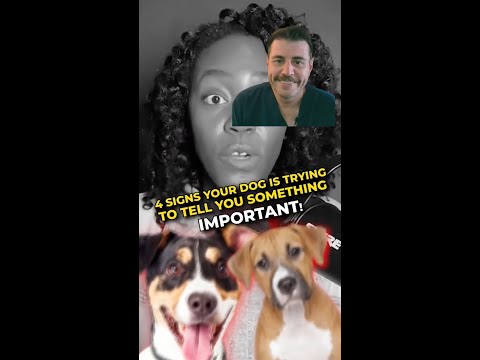 Dr Evan - are these dog signs true?!😱