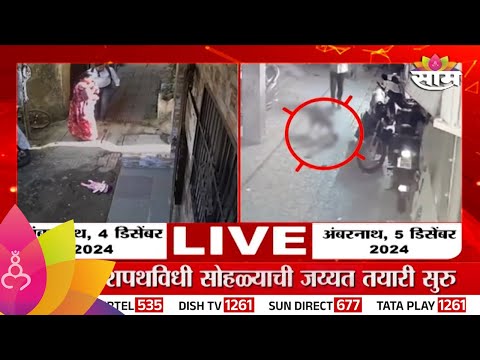 Marathi News | Ambernath News:  अंबरनाथमध्ये भटक्या कुत्र्यांचा हैदोस!