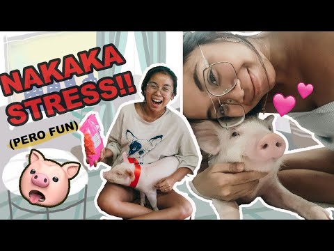 A (CRAZY) DAY IN THE LIFE WITH BACON, Our Pet Pig!!