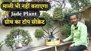 ऐसा Growth Secret जो कोई माली भी नहीं बताएगा! एक बार Roots में मिला दो और कमाल देखें