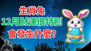 生肖兔，注意！命理推算：12月財神光顧，你財運爆發，驚喜降臨！財富滾滾擋不住！接！ #2024年生肖兔運勢 #2024年生肖兔運程 #2024年屬兔運勢 #屬兔運程