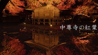 【世界遺産】平泉中尊寺の紅葉 : 【World Heritage】The Autumn Leaves of Chūson-ji Temple（Iwate, Japan）