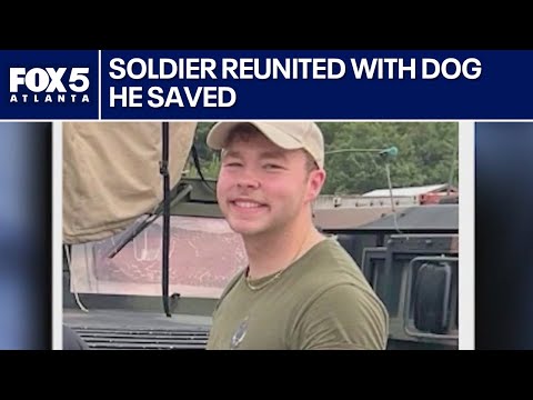 Dog rescued by soldier now reunited in Georgia | FOX 5 News