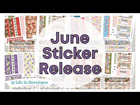 June 2024 Budget Sticker Release / TBM BBP Workbook / EC 7 x 9 / Classic Happy Planner