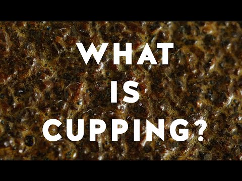 Blue Bottle Coffee Concepts: What is Cupping?