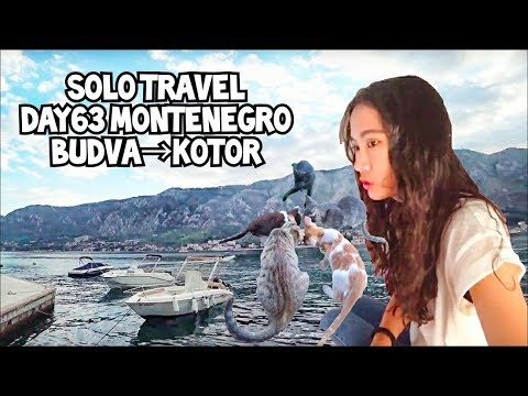 獨遊DAY63黑山Budva➙Kotor：這這這.....才是阿瑪的後宮