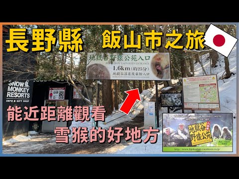 In Nagano must visit Iiyama's Snow Monkey Park !【Iiyama & Takasaki Trip EP2】