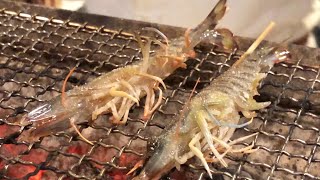 【福岡グルメ】甲殻類専門の炉端焼き屋さんが美味しくて最高！！！ー福岡#209