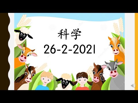 学前教育班科学 -动物的声音