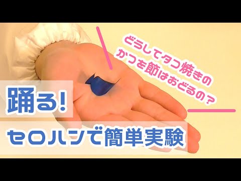 【家で簡単実験】踊る！セロハンのふしぎ