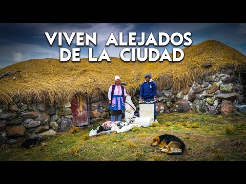 IMPRESIONANTE: la vida en los Andes CERCA AL CIELO, familia que vive de la ganadería y artesanía