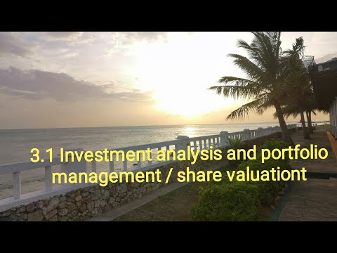 3.1 Investment analysis and portfolio management / share valuation