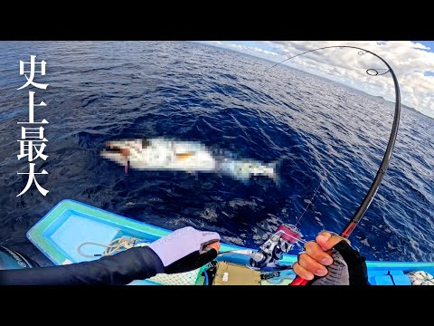 五目釣りのはずが巨大魚釣れてしまったので漁協に売ったら驚きの金額に！