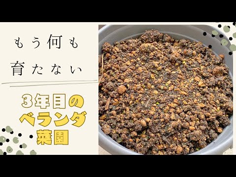 家庭菜園【食糧備蓄】もみ殻燻灰＆バケツコンポスト導入してみた