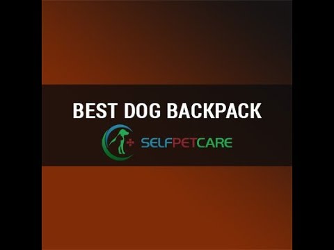 Approach Full Day Hiking Pack for Dogs